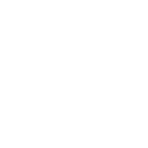 White Hummingbird